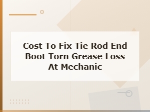 Tie Rod End Boot Replacement Cost at a Mechanic for Torn Boot and Grease Loss